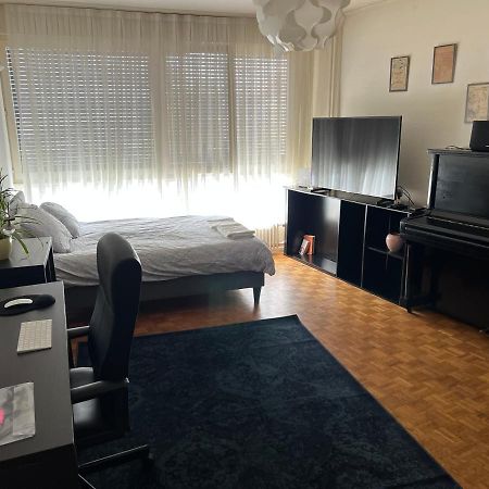 2 Bedroom Flat Near Nations And In The Center Γενεύη Εξωτερικό φωτογραφία